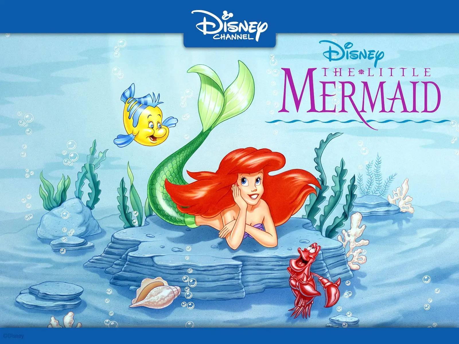 The Little Mermaid Season 1 Hindi Episodes Download Rare Toons India