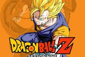 Dragon Ball Z Season 9 Kid Buu Saga Hindi Episodes Download HD